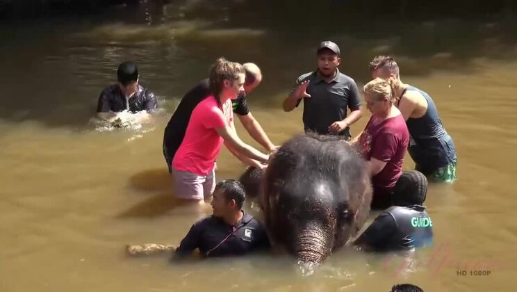 Experience the Best Day Ever with Elena Koshka