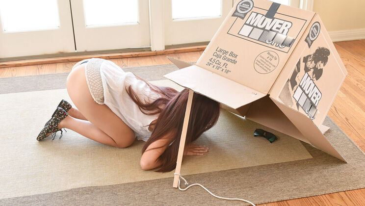 Petite Teenage Thief in Trouble