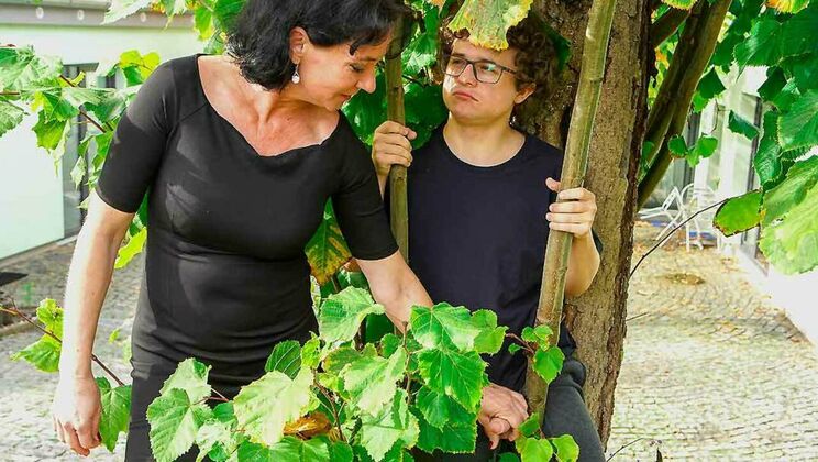 Stalker's Dream of Granny's Blowjob