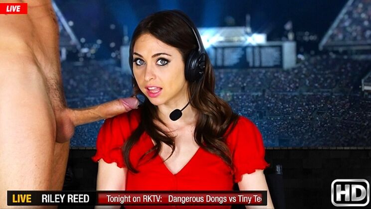 Small Tits, Big Anal Play