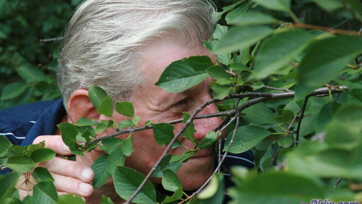 Boobarella and Barney in Old and Young Sex