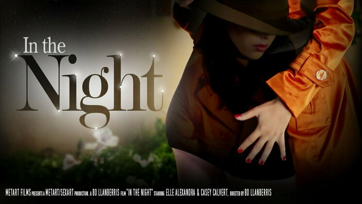 Beautiful Brunette Casey Gets Naughty