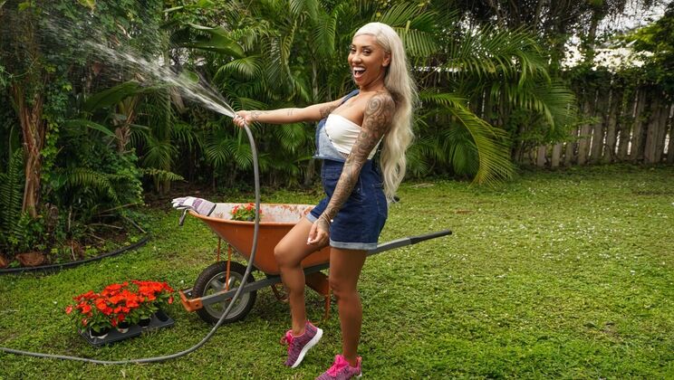 Hardcore Outdoor Sex with Logan Xander & Kona Jade