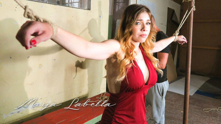 Shaved and Surrendered: Maya Labella